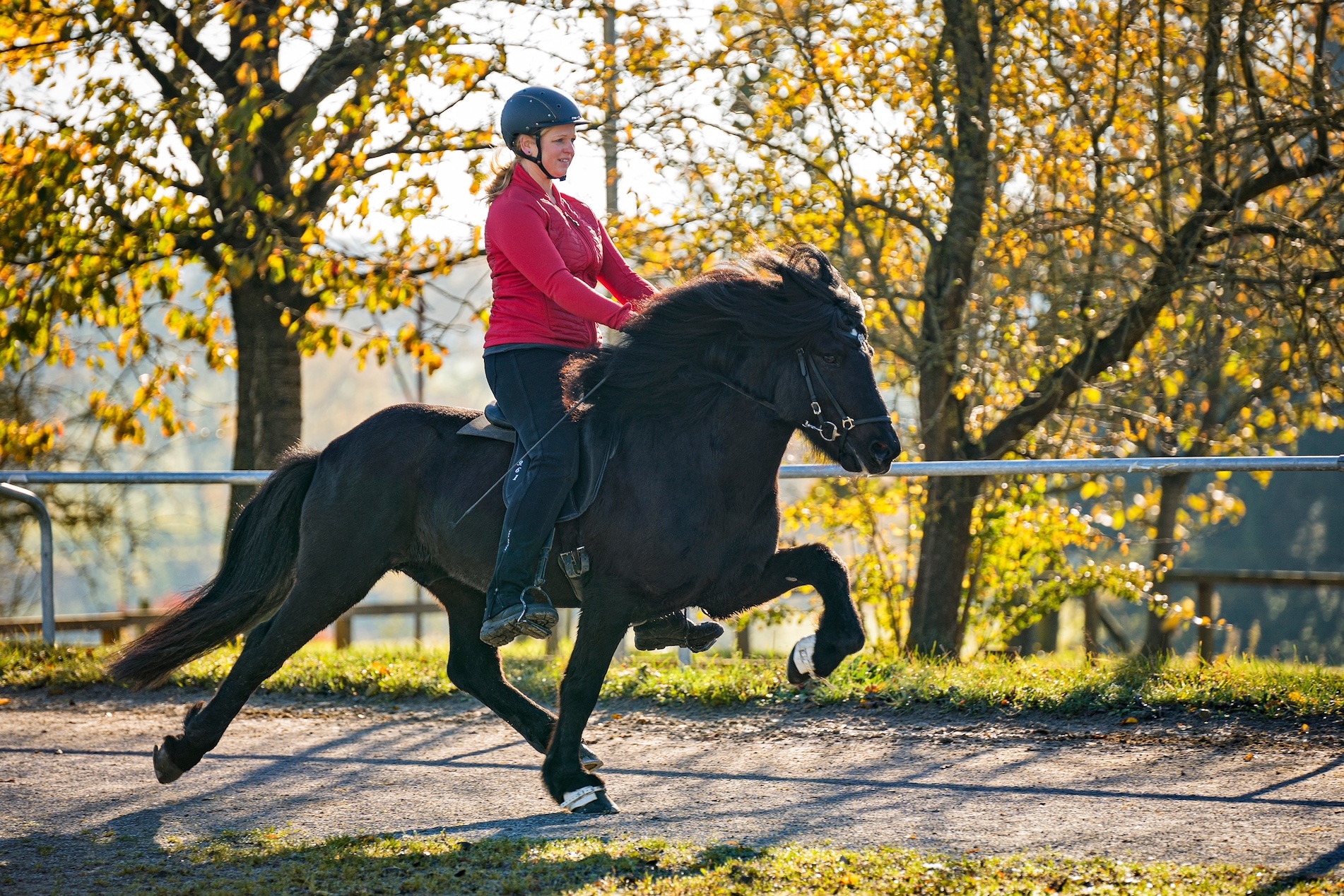 Herzlich willkommen auf dem Sonnenhof Kollmeyer