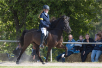 IPZV Reitabzeichen I -II- III